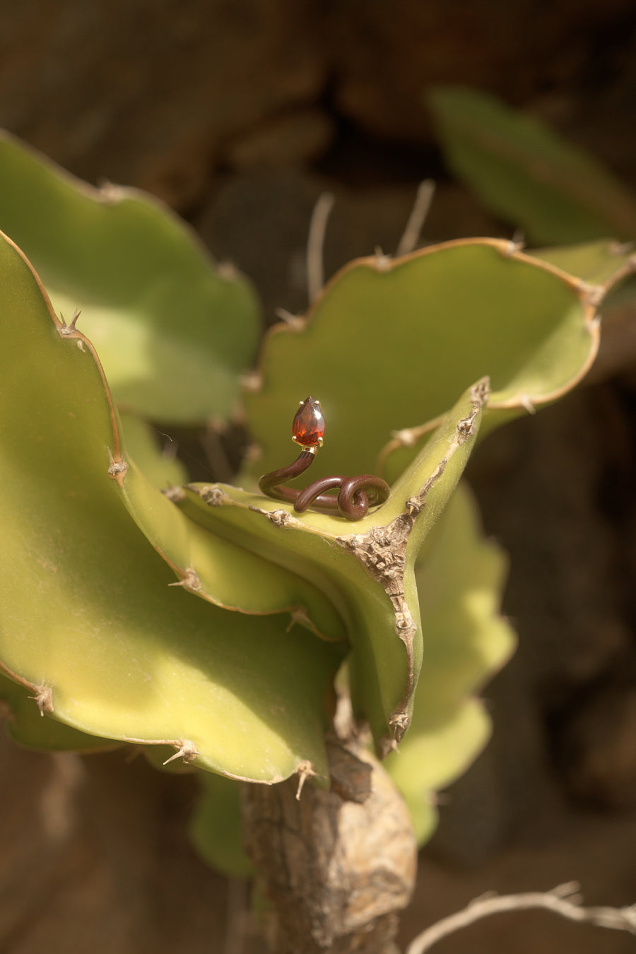 BABY VINE TENDRIL RING IN CHERRY CHOCOLATE WITH DROP CUT GARNET