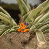 BABY VINE  RING ~ IN ORANGE